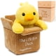 thumbnail image 1 of Set de Regalo Pato de Peluche Hugglethorn con Caja de Vida, 1 of 6