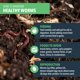 thumbnail image 4 of Gusanos de compostaje Worm Nerd Live Red Wriggler 100 Worms, 4 of 5