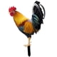 thumbnail image 1 of Estacas De Estatua De Animales De Pollo Acrílico Realista Para Decoración De Patio Estilo B, 1 of 5