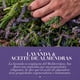 thumbnail image 2 of Acondicionador Herbal Essences Antifrizz Lavanda Y Aceite De Almendras, 400 ml, 2 of 5
