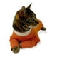 thumbnail image 5 of Body De Cobre Completo Post Quirúrgico Talla 6 (10 A 13 Kg), 5 of 6