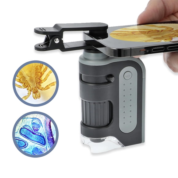 Microscopio Carson MicroBrite MicroBrite Pro MM-350 60x-120x
