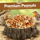 thumbnail image 2 of Cacahuetes crudos sin cáscara de Squirrel Food TRAILMARK NATURALS, 5 kg, 2 of 7