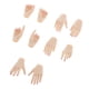 thumbnail image 3 of Modelos De Mano De Mujer A Escala 1: 6 De 10 Piezas Para Piel Normal De Figura Femenina De 12 Pulgadas, 3 of 3