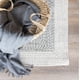 thumbnail image 2 of Alfombra Lavable Praga 170x240, 2 of 3