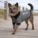 thumbnail image 4 of Playera para Perro Pet Life Active Fur-Flexed Relax-Stretch Polo, 4 of 9