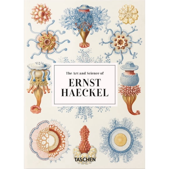 Libro 40 - Ernst Haeckel