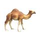 thumbnail image 1 of Figura Animal Camello Buinzoo, 1 of 2