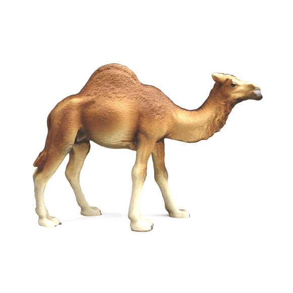 Figura Animal Camello Buinzoo