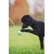 thumbnail image 4 of Lanzador de pelotas para perros ChuckIt! Sport 14S para perros de 0 a 9 kg, 4 of 6