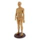 thumbnail image 2 of Acupuntura humana y moxibustión modelo femenino masculino juega 50cm masculino suave, 2 of 3