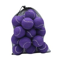 Ioensy - 20X Pelotas De Tenis Pelotas Elásticas Para Jugar Con Perros Entretenimiento Para Principiantes Púrpura