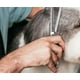 thumbnail image 3 of Set Tijeras Profesionales Para Aseo Y Cortauñas Mascota Lau, 3 of 3