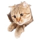 thumbnail image 5 of Pegatina Divertida Para Inodoro De Gato De Dibujos Animados, Funda Para Asiento De Inodoro, Pegatina Para Lavabo De Ba?o, 21cm X 23cm, 5 of 5