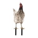 thumbnail image 3 of Gallo, Estaca Para Jardín, Adorno De Gallina Para Césped, Regalo Para Fiestas, Decoración De Jardín Con Gallinas, 3 of 5
