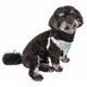 thumbnail image 1 of Arnés para perro Pet Life Fidomite reversible y transpirable con pajarita, 1 of 8