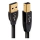 thumbnail image 1 of Cable Pearl USB A-B 2.0 1.5M, 1 of 1