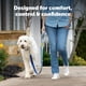 thumbnail image 2 of Correa PetSafe Bungee Verde de 1,2 m, 2 of 8
