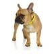 thumbnail image 2 of Collar Fuzzyard para perros MONKEY MANIA M (32-50 cm), 2 of 2