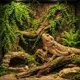 thumbnail image 3 of Plantas Colgantes HERCOCCI para Terrario Reptiles 2 Pack 84 cm, 3 of 3