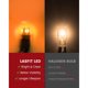thumbnail image 3 of LASFIT 3157 LED Amber para luz de señalizador, 3 of 3