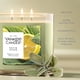 thumbnail image 3 of Candle Yankee Candle, tarro de 3 mechas, 40 horas de combustión, salvia y cítricos, 3 of 8