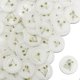 thumbnail image 1 of Etiquetas adhesivas de sello de cera TPKIHGSA 30 mm Gypsofila – Pack de 100, 1 of 9