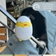 thumbnail image 2 of Mecedor Eléctrico Coche Recargable Bebé Baby Chick Bandú, 2 of 8