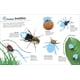 thumbnail image 5 of Libro de stickers DK Los insectos definitivos, 5 of 7