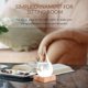 thumbnail image 5 of Predicador del clima Storm Glass en forma de gota F FOXKEY, 5 of 6