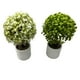 thumbnail image 2 of Plantas Artificiales Mini Bonsai Arbol Decoracion 6 unidades verde, 2 of 5