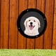 thumbnail image 3 of Paquete de 2 vallas para perros, ventana de 11,2 pulgadas con cúpula acrílica transparente, ventana de burbujas para mascotas, cerca para patio de juegos., 3 of 7
