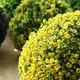 thumbnail image 3 of Bola planta artificial exterior 18 cm, 3 of 3