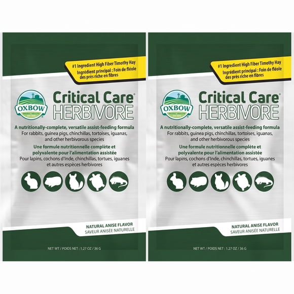 Pack X2 UN - ALIMENTO RECUPERACION CRITICAL CARE ANIS 36 GR