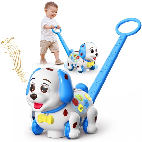 Juguete de Empujar y Tirar Zardali ABC 123 con Música para 1‑3 años