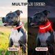 thumbnail image 5 of Collar luminoso recargable rojo PcEoTllar L para perro, 5 of 6