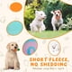 thumbnail image 3 of Juguetes sonoros QTwoof, 20 piezas, para perros pequeños, 3 of 3
