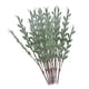 thumbnail image 3 of 10 Piezas 12" Agujas de Pino Artificial Plantas Falsas Árbol Bricolaje Hoja Adorno Artesanía Artesanía para Festival Decoración al, 3 of 5