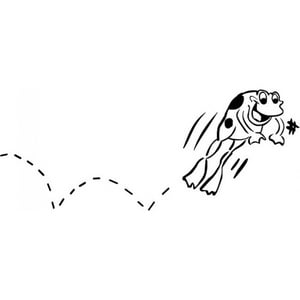 Rienda Libre Graphics - Decomural Leap Frog Childrens Ws-17731