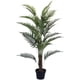 thumbnail image 1 of Planta Decorativa Palma Areca 120 Cms., 1 of 4