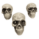 thumbnail image 1 of Pack 3 Calaveras Decoración Fiestas Halloween 2025, 1 of 5