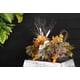 thumbnail image 3 of Moss SuperMoss, musgo español seco natural, 250 ml, 3 of 5