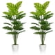 thumbnail image 1 of SAJANDAS artificiales de Monstera Deliciosa Plants con macetas, juego de 2, 1 of 7