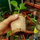 thumbnail image 5 of 50pcs Macetero Biodegradables Fibra Coco Germinación Orgánanica, 5 of 5