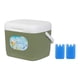 thumbnail image 5 of Nevera portátil clásica de 15 litros, resistente al agua, para coche, ideal para frío y calor. Verde, 5 of 5