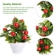 thumbnail image 3 of Bonsái pequeño de fruta de simulación (limón), 3 of 8