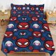 thumbnail image 2 of Spider-Man 3 Piece Sets Full/Queen Size - Reversible Microfiber Quilts with 2 Shams Soft Lightweight Bedspread Coverlet Comforter for All Season Bed Sheets, 2 of 5
