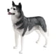 thumbnail image 5 of Figura De Husky Artesanal, Figura De Perro Realista, Juguetes Para Regalo, Recuerdos De Fiesta Para Ni?os Peque?os, 5 of 5