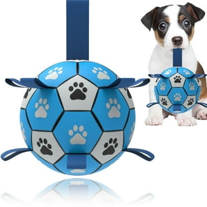 Juguete Para Perro Domchan Pelota De Fútbol Con Cuerda, Flotante En Agua 15 Cm