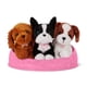 thumbnail image 1 of Adopta 3 perros - Cocker Spaniel, Boston Terrier & Beagle, 1 of 1